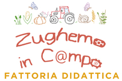 FATTORIA DIDATTICA ZUGHEMO IN CAMPO